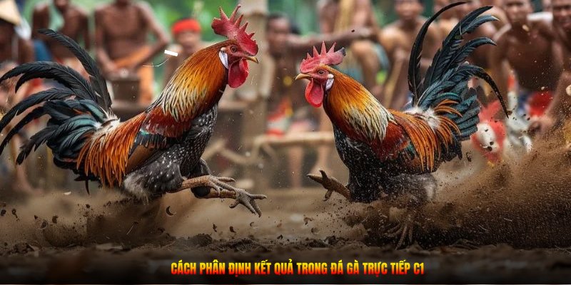 Cách phân định kết quả trong đá gà trực tiếp C1