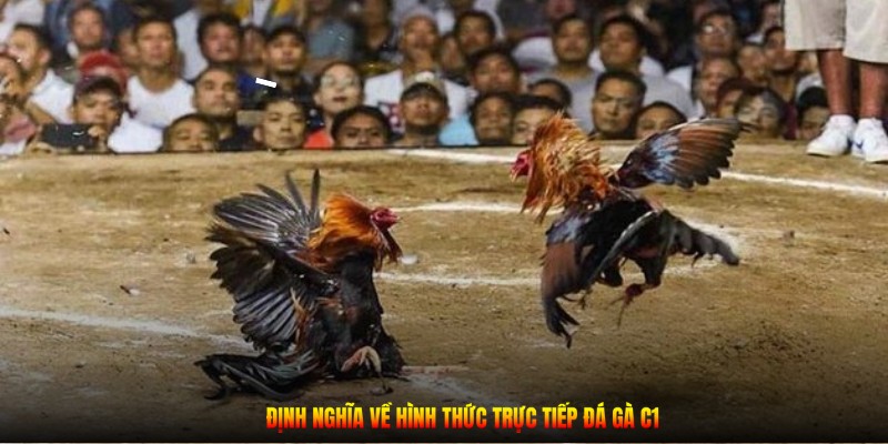 Định nghĩa về hình thức trực tiếp đá gà C1