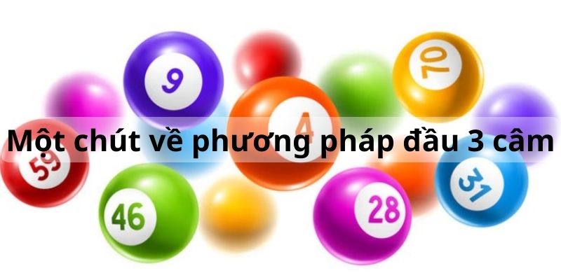 Giới thiệu về đầu 3 câm hôm sau đánh con gì