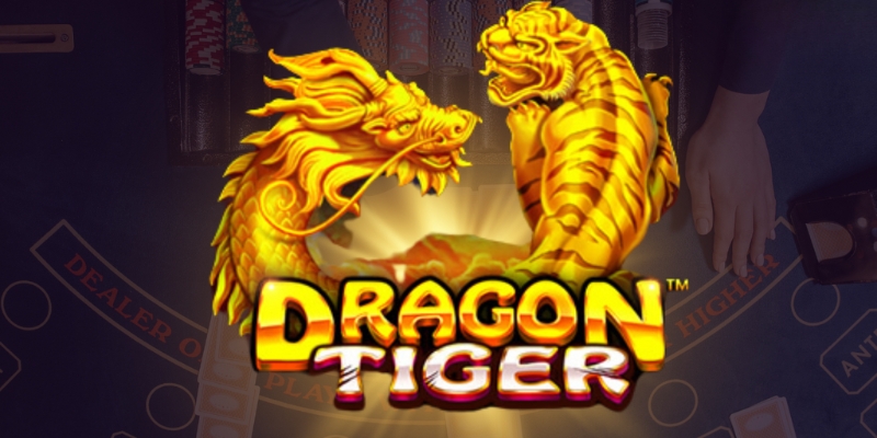 Đặt cược Dragon Tiger một cách an toàn, dễ dàng